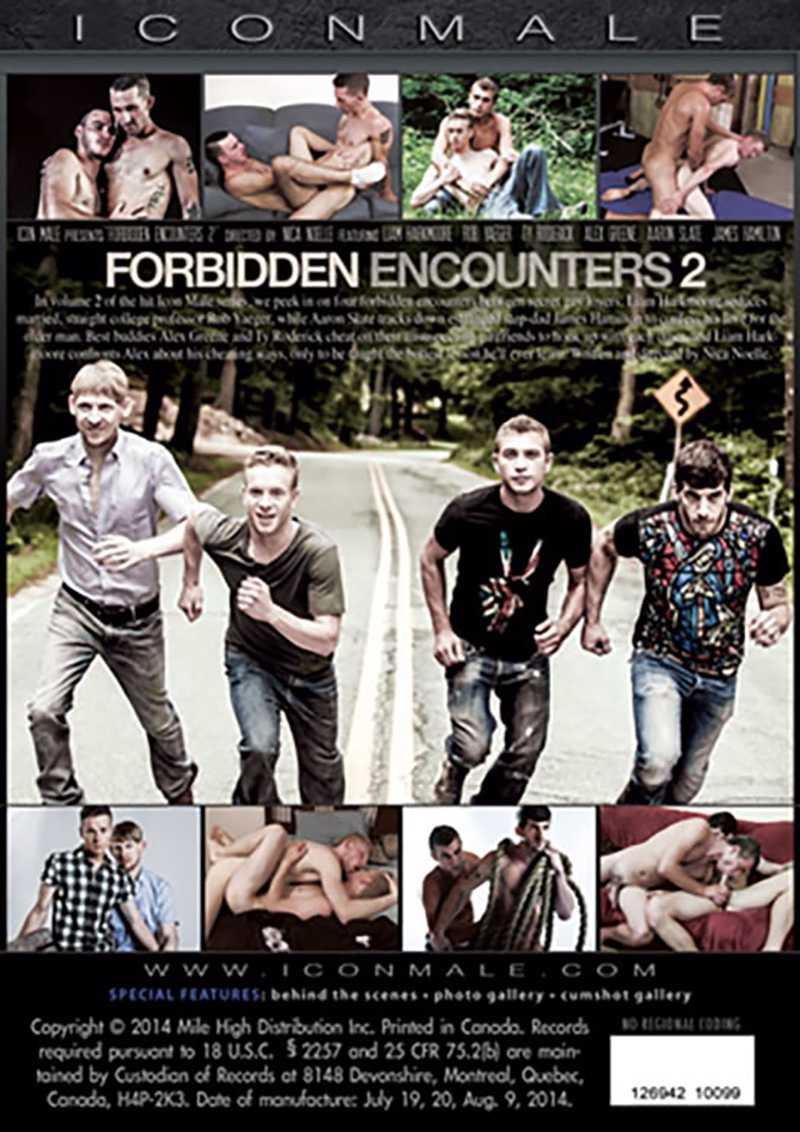 Forbidden Encounters 2