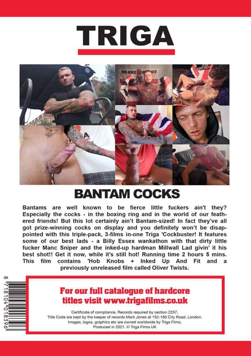 Bantam Cocks