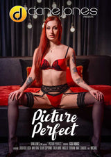Picture Perfect