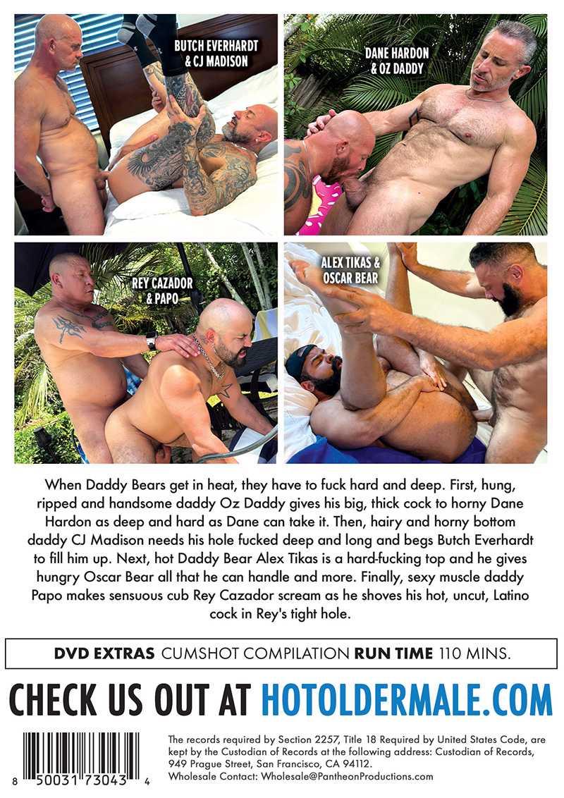 Daddy Bears in Heat