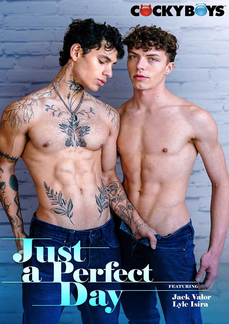 Just a Perfect Day