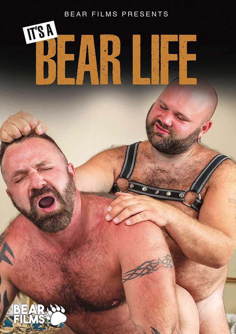 It's a Bears Life